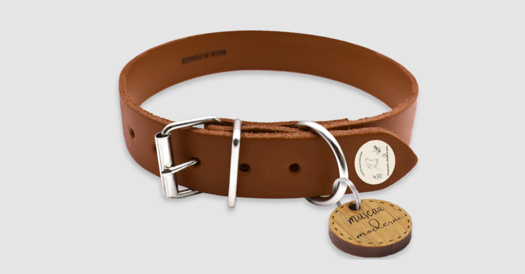 collier chien laisse canin accessoire produit